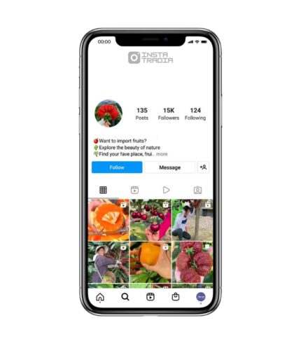 Buy Fruit Instagram Account