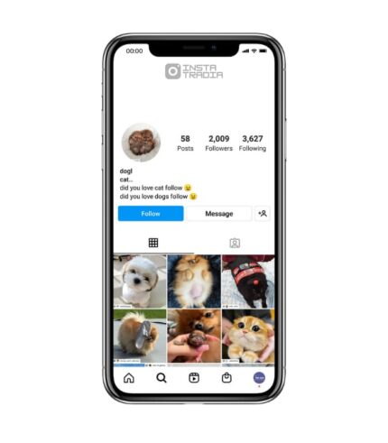 Pets instagram account for sale