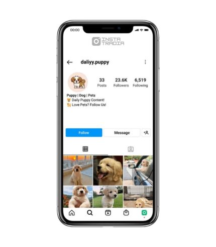 Dog instagram account for sale