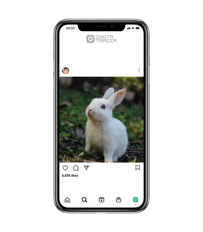 Anipix (111k Followers) Buy Animals Instagram Accounts - InstaTradia