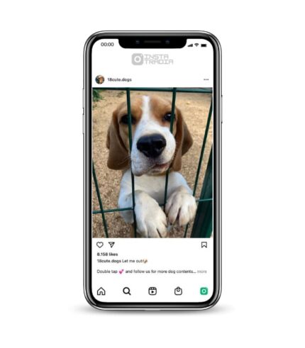 Buy Dog Puppy Instagram Account