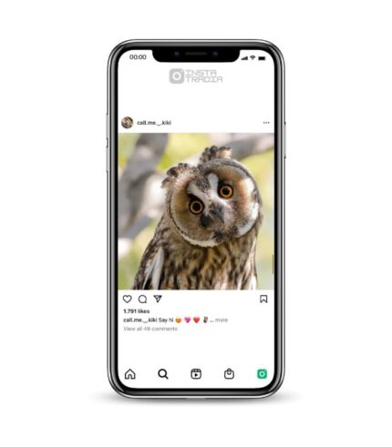 Buy Owl Instagram Account