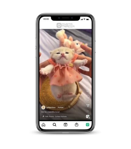 Buy Cat Reels Instagram Account