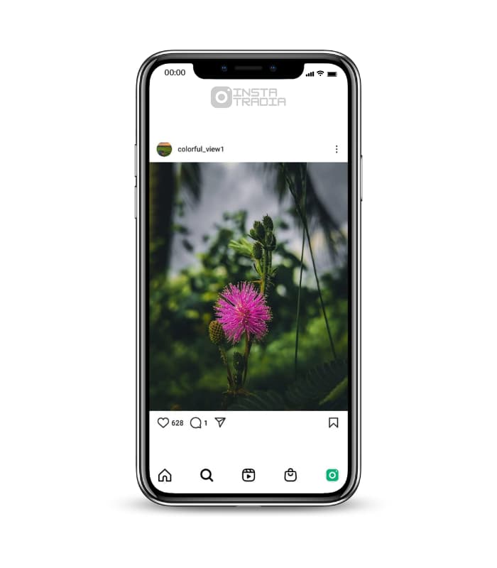47 Buy Photographer Lover Instagram Account